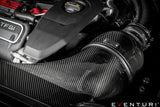 Eventuri Carbon Fibre Intake System - Audi RS3 8V (Pre-Facelift)