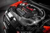 Eventuri Carbon Fibre Intake System - Audi RS3 8V (Pre-Facelift)