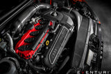 Eventuri Carbon Fibre Intake System - Audi RS3 8V (Pre-Facelift)